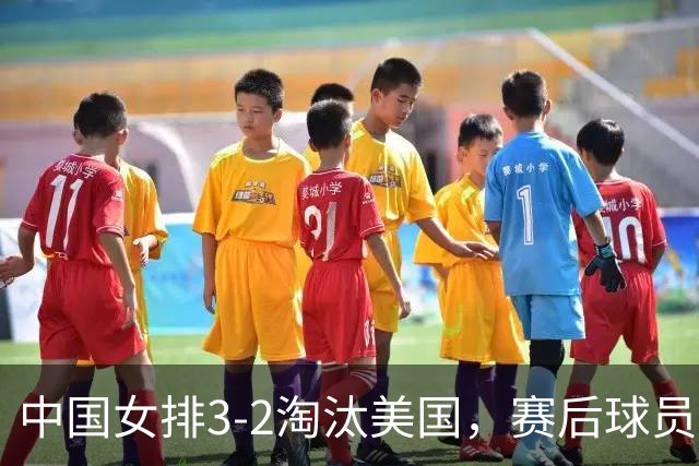 中国女排3-2淘汰美国，赛后球员表现评分：3满分3优秀 2及格